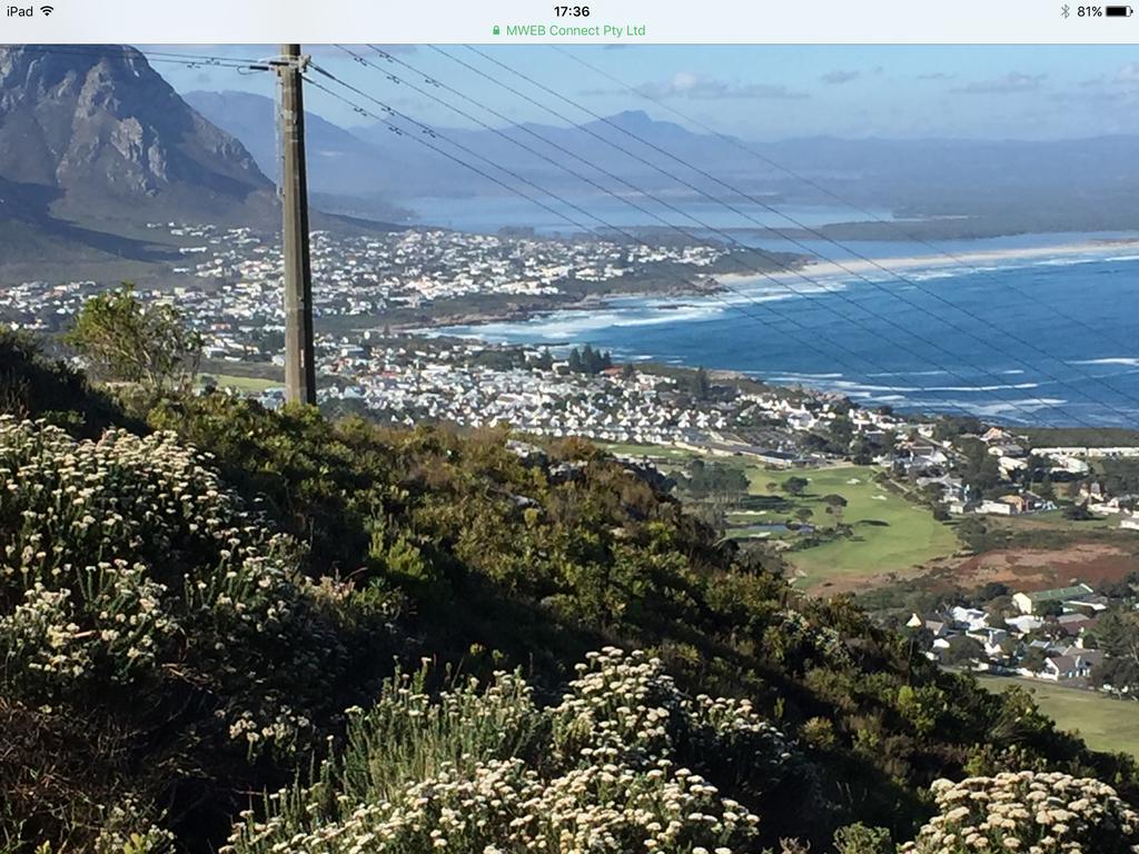 Ferienwohnung 77 On 7Th Street Hermanus Exterior foto
